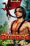 Dragos 1: Burned
