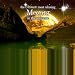 Music : The Ultimate Most Relaxing Mozart in the Universe
