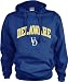 Delaware Fightin' Blue Hens Perennial Hooded Sweatshirt - Medium