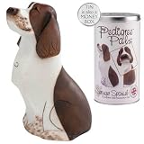 My Pedigree Pals Figurine in Money Box Tin - Springer Spaniel