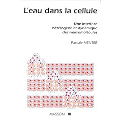 L'Eau dans la cellule: Une interface h�t�rog�ne et dynamique des macromol�cules