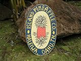 ISLAND PINEAPPLE VINTAGE TIKI SIGN - 30 - MADE IN HAWAII