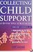 Collecting Child Support: 12 Effective Strategies (Self-Counsel Legal Series)