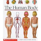 The Human Body: A First Discovery Book by Sylvaine Perols and Gallimard Jeunesse