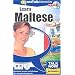Talk Now! Learn Maltese: Essential Words and Phrases for Absolute Beginners