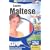 Talk Now! Learn Maltese: Essential Words and Phrases for Absolute Beginners