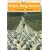 British Sheep Breeds (Shire Library)