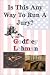 Is This Any Way To Run A Jury? by Godfrey Lehman ISBN 1930916531