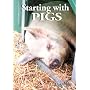 Starting with Pigs: A Beginners Guide
