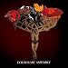Amazon MP3 Free Song of the Day