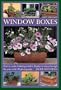 Window Boxes: How to Create Stunning Window Displays to Enjoy Throughout the Year
