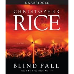 Blind Fall: A Novel