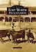 Forth Worth Stockyards, TX (IMG) (Images of America (Arcadia Publishing))