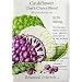 Cauliflower Chef's Choice Blend Heirloom Seeds