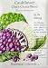Cauliflower Chef's Choice Blend Heirloom Seeds 100 Seeds