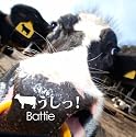 うしっ!