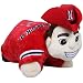 NCAA Nebraska Cornhuskers Pillow Pet