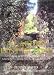 Book A Garden Lost In Time: The Mystery Of The Ancient Gardens Of Aberglasney
