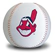 Biederlack Cleveland Indians Woochie Pillow
