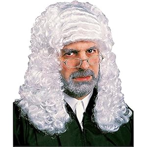 Courtroom Barrister Wig - One Size