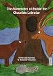 The Adventures of Fudgie the Chocolate Labrador