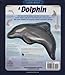 Uncover a Dolphin (Uncover Books)