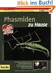 Phasmiden zu Hause