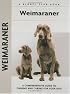 Weimaraner (Kennel Club Dog Breed Series)