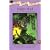 Night Bird: A Story of the Seminole Indians (Once Upon America)