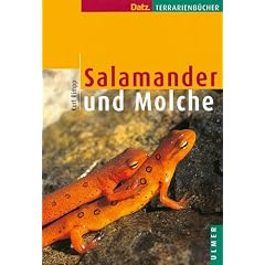 Salamander und Molche