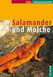 Salamander und Molche