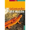 Salamander und Molche
