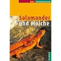 Salamander und Molche