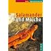 Salamander und Molche