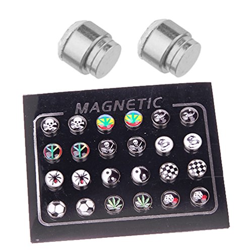 24 Pieces Magnetic Fake Plug Lot Fake Gauges, Magnetic Logo 2G Gauges Look (12 Pairs)