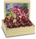 Columbia Red d'Anjou Pears