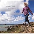 Walking in Penwith (Pocket Cornwall)
