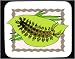 Alle Produkte : Mauspad mit Dekoration - Bug, Insekt, Shaggy, Blatt, behaart, Caterpillar