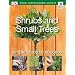 Shrubs and Small Trees (RHS Simple Steps to Success)