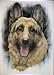 German Shepherd (Face) Art Poster Print - 20 X 28