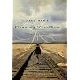 Chasing Fireflies: A Novel of Discovery