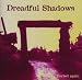 Dreadful Shadows-Buried Again
