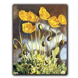 Alaska Poppies - Gift Enclosure Cards (set of 12)