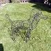 Gartenfigur Pudel Buxus-Figur Moos Efeu