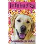 For the Love of Dogs