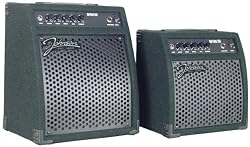 Johnson RepTone Series Bass Amp 15 Watt