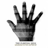 Fleeting Ends, The Goldmine In the Gutter - EP