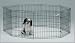 Kitchen & Housewares : Midwest Black E-Coat Exercise Pen, 24 Inches by 30 Inches