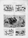 1874 Buffaloes Camp Mulberry Creek Horse Miners Men