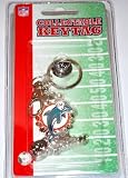 Dolphins Key Chain.